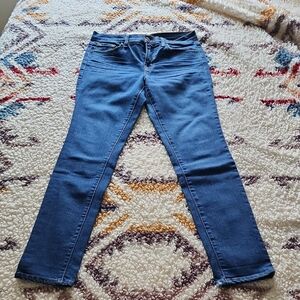 J Brand Women's Skinny Jeans in Deep Blue